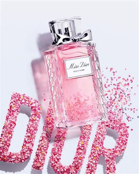 dior roses n rose|dior rose blooming flowers.